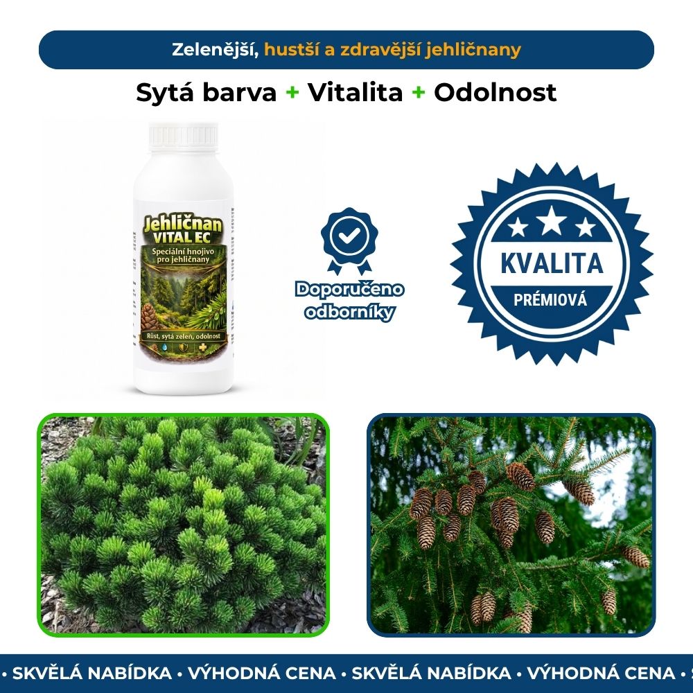 Jehličnan Vital EC