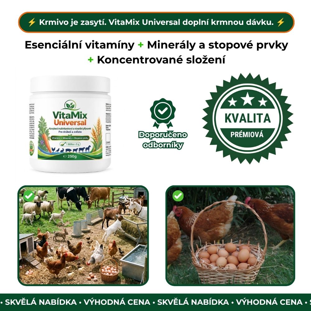 VitaMix Universal